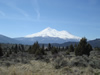 Mt Shasta