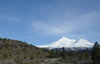 MtShasta1